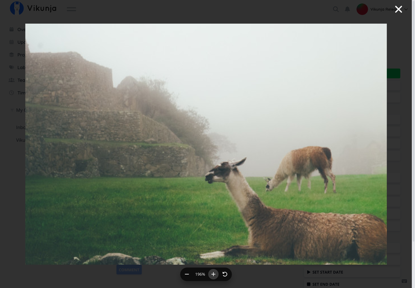 An image attachment open in Vikunja's lightbox at 196 percent zoom